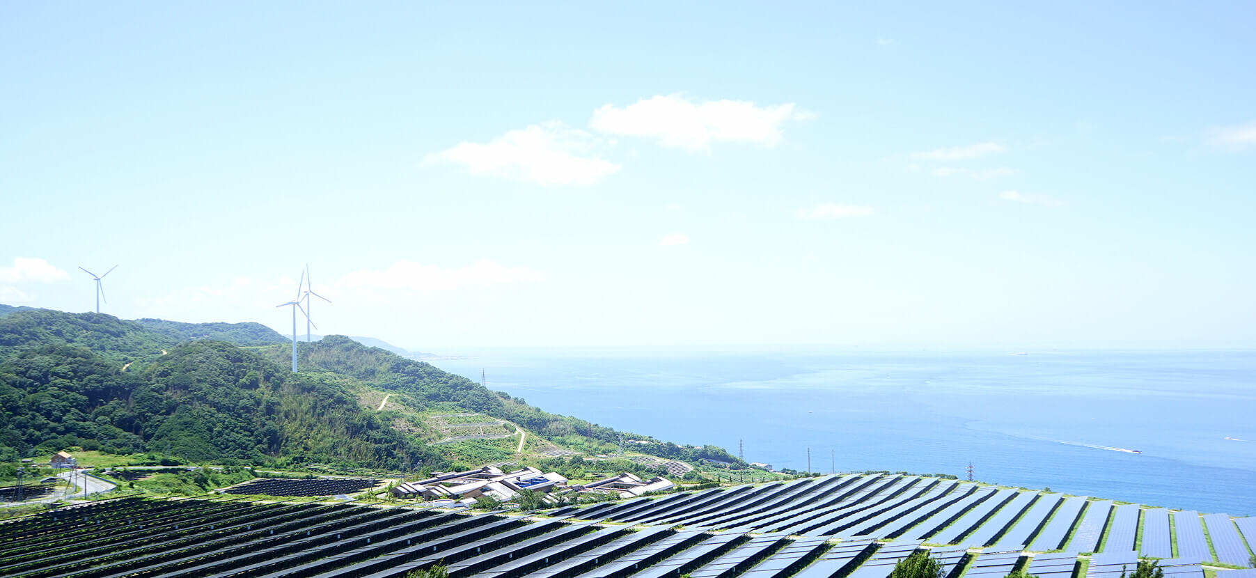 Environmental Stewardship